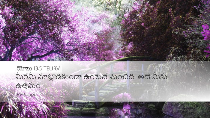 యోబు 13:5 TELIRV Bible Verse Image