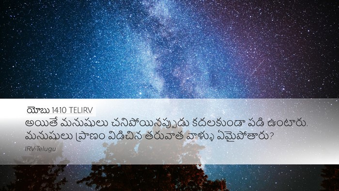 యోబు 14:10 TELIRV Bible Verse Image