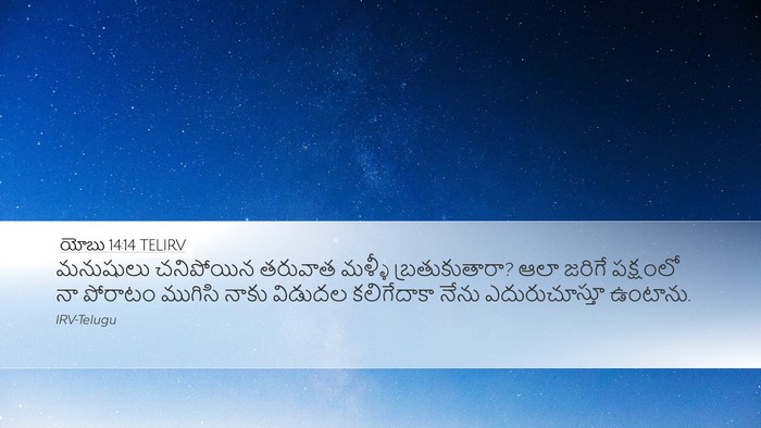 యోబు 14:14 TELIRV Bible Verse Image