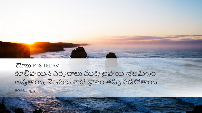 యోబు 14:18 TELIRV Bible Verse Image