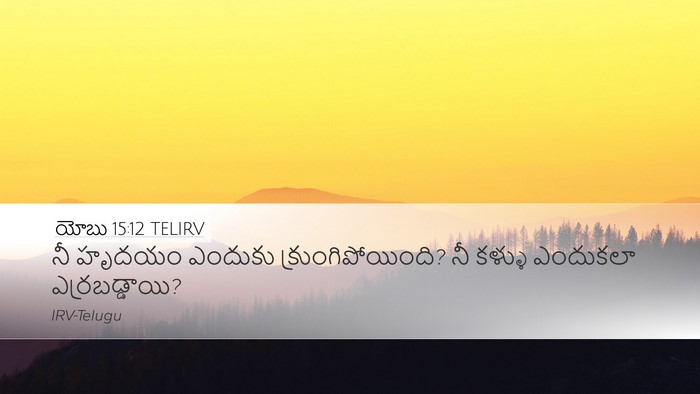 యోబు 15:12 TELIRV Bible Verse Image