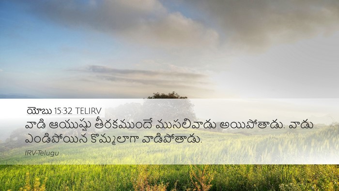 యోబు 15:32 TELIRV Bible Verse Image