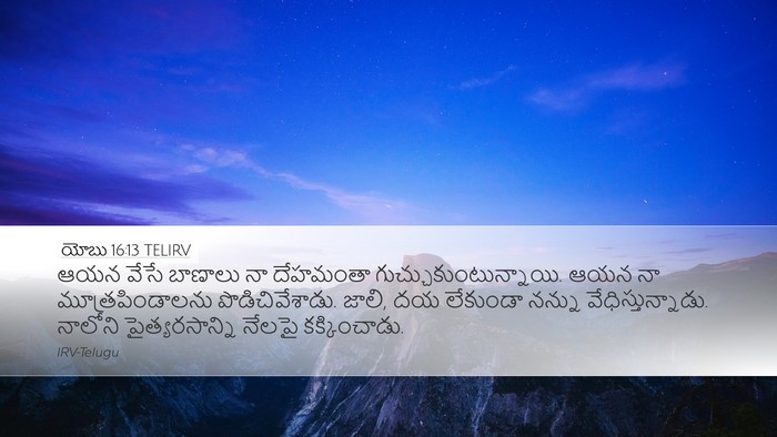 యోబు 16:13 TELIRV Bible Verse Image