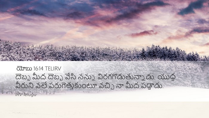 యోబు 16:14 TELIRV Bible Verse Image