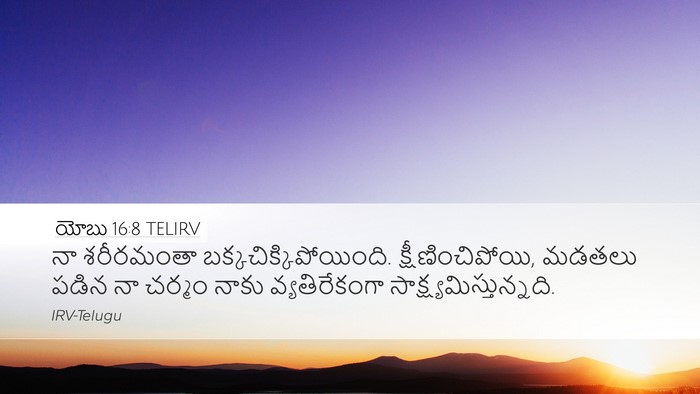 యోబు 16:8 TELIRV Bible Verse Image