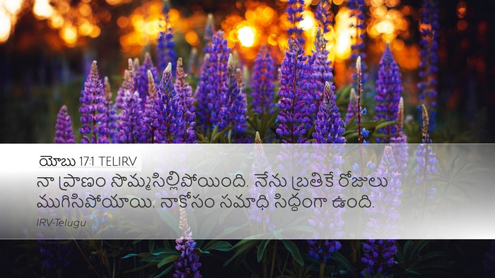 యోబు 17:1 TELIRV Bible Verse Image