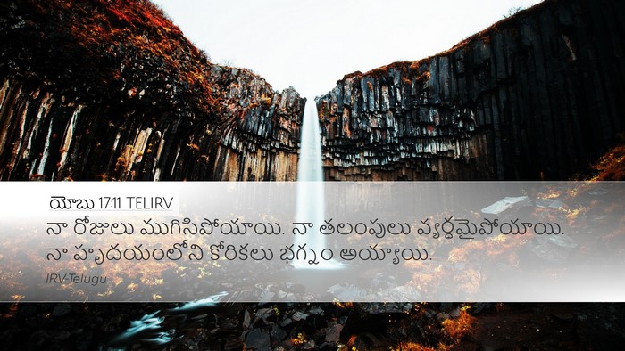 యోబు 17:11 TELIRV Bible Verse Image