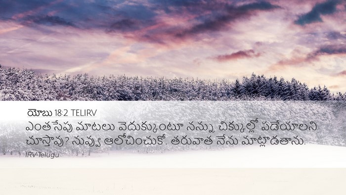 యోబు 18:2 TELIRV Bible Verse Image