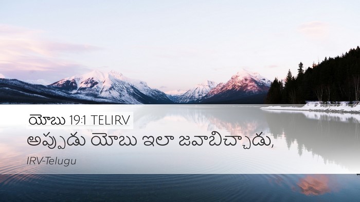 యోబు 19:1 TELIRV Desktop Wallpaper - అప్పుడు యోబు ఇలా - Desktop Bible Verse Wallpaper