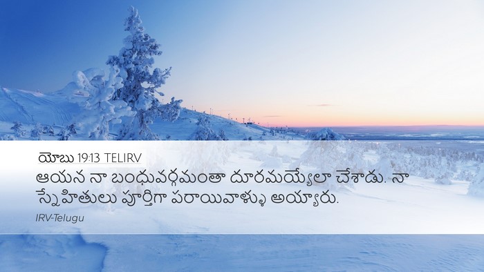 యోబు 19:13 TELIRV Bible Verse Image