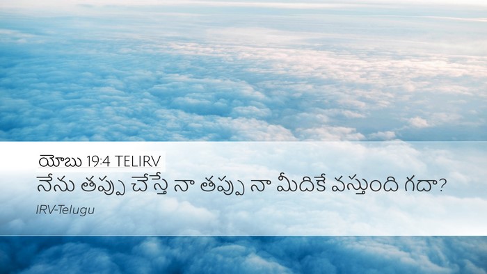 యోబు 19:4 TELIRV Desktop Wallpaper - నేను తప్పు చేస్తే - Desktop Bible Verse Wallpaper