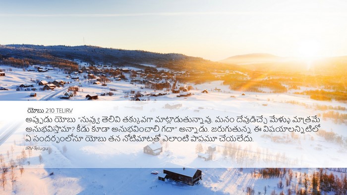యోబు 2:10 TELIRV Bible Verse Image