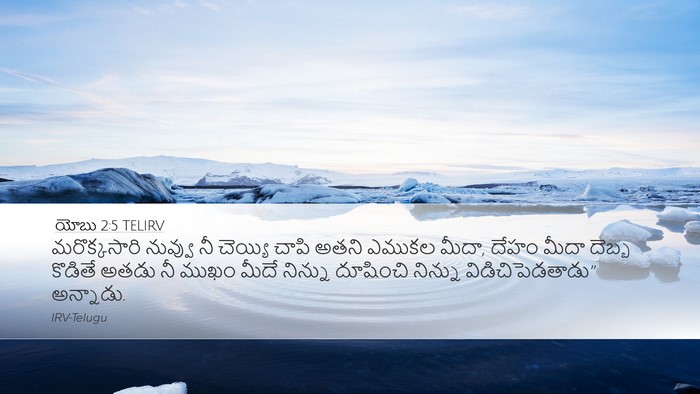 యోబు 2:5 TELIRV Bible Verse Image