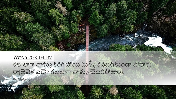 యోబు 20:8 TELIRV Bible Verse Image