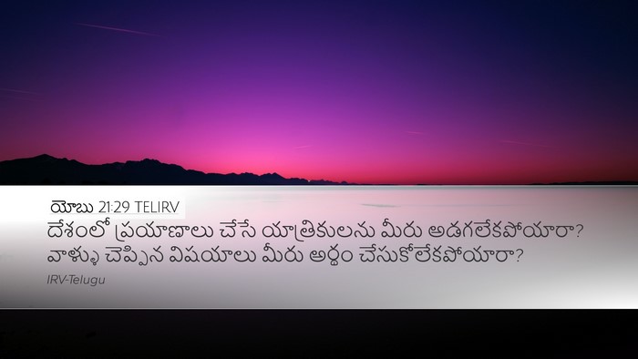 యోబు 21:29 TELIRV Bible Verse Image