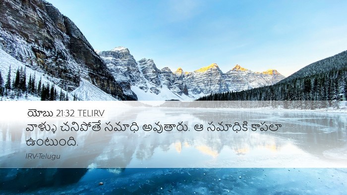 యోబు 21:32 TELIRV Bible Verse Image