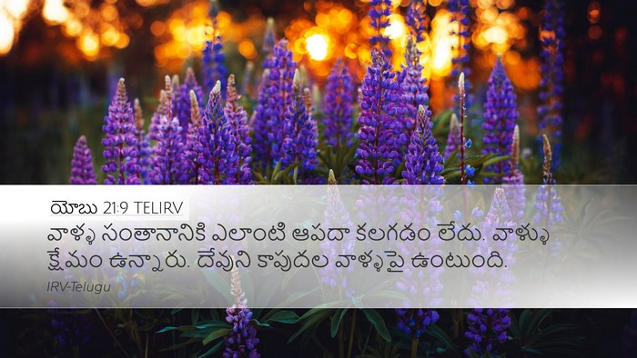 యోబు 21:9 TELIRV Bible Verse Image