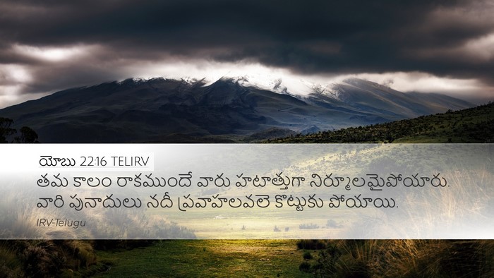 యోబు 22:16 TELIRV Bible Verse Image