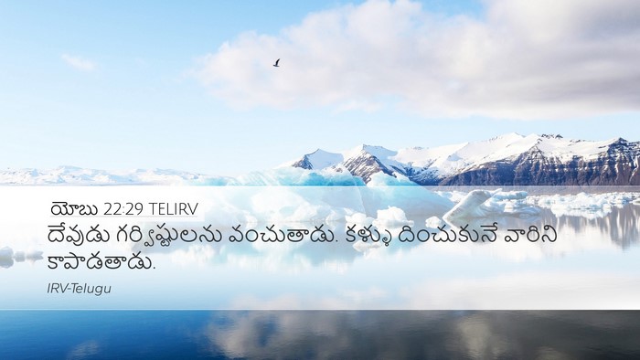 యోబు 22:29 TELIRV Bible Verse Image
