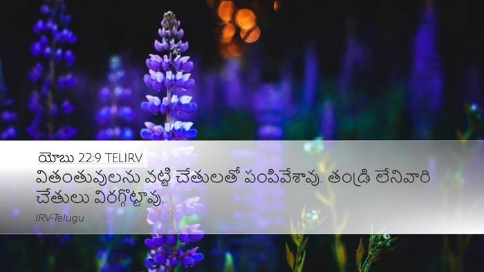 యోబు 22:9 TELIRV Bible Verse Image