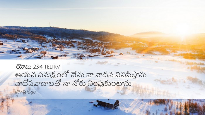 యోబు 23:4 TELIRV Bible Verse Image