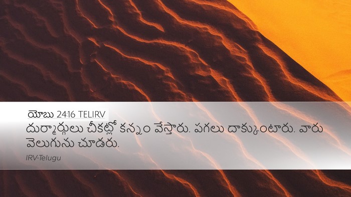 యోబు 24:16 TELIRV Desktop Wallpaper - దుర్మార్గులు - Desktop Bible Verse Wallpaper