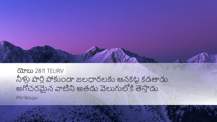 యోబు 28:11 TELIRV Bible Verse Image