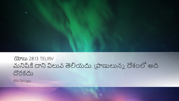 యోబు 28:13 TELIRV Bible Verse Image