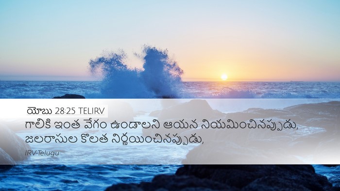 యోబు 28:25 TELIRV Bible Verse Image