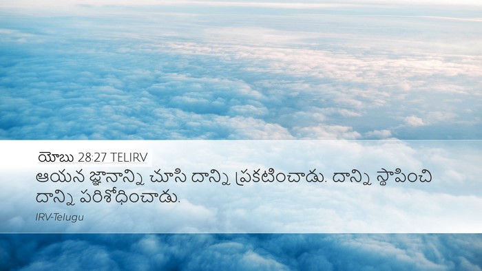 యోబు 28:27 TELIRV Desktop Wallpaper - ఆయన జ్ఞానాన్ని - Desktop Bible Verse Wallpaper
