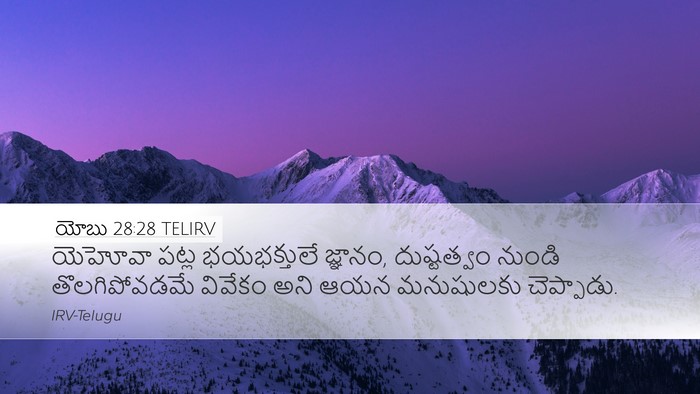 యోబు 28:28 TELIRV Bible Verse Image