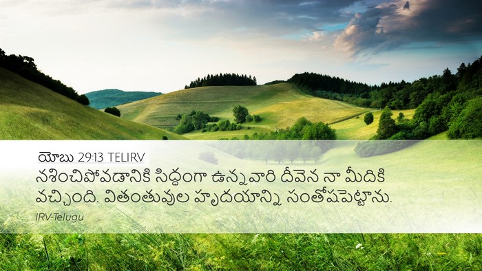 యోబు 29:13 TELIRV Bible Verse Image