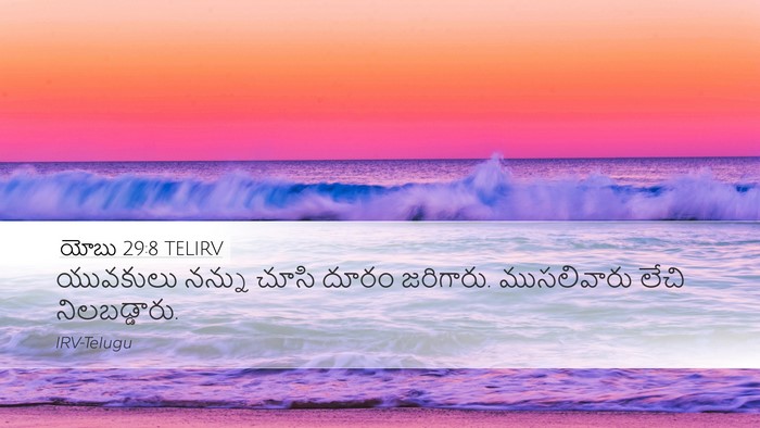 యోబు 29:8 TELIRV Bible Verse Image
