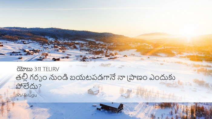 యోబు 3:11 TELIRV Bible Verse Image