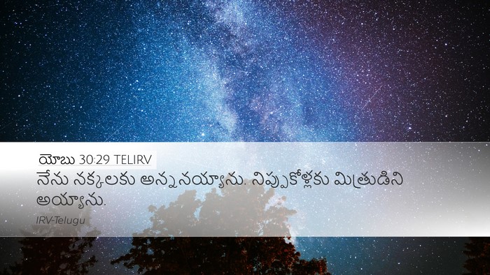 యోబు 30:29 TELIRV Bible Verse Image