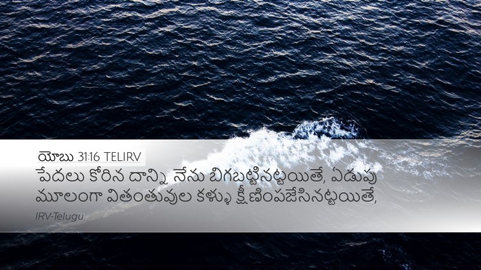 యోబు 31:16 TELIRV Bible Verse Image