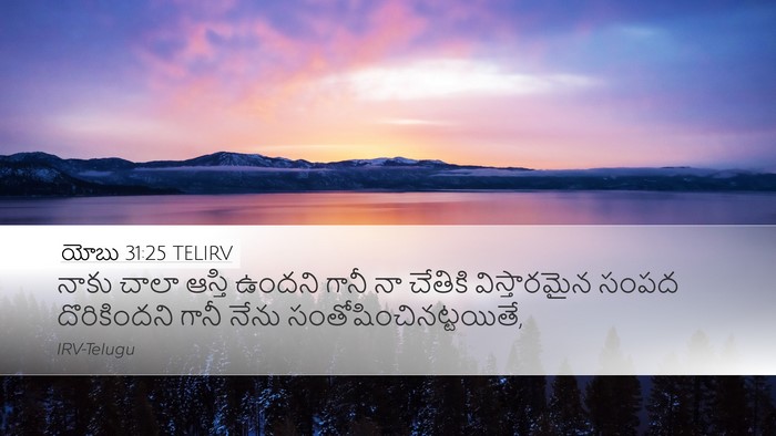 యోబు 31:25 TELIRV Bible Verse Image