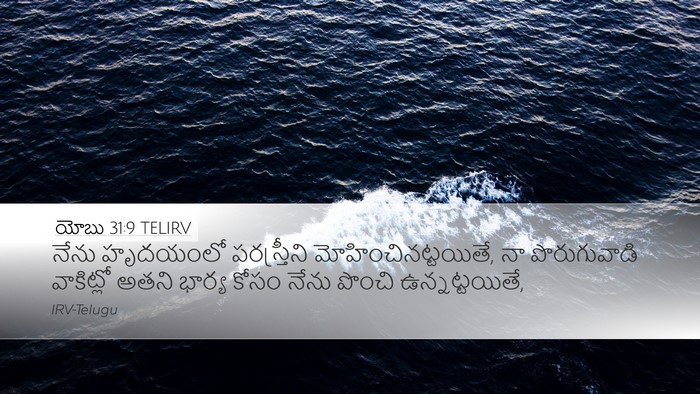 యోబు 31:9 TELIRV Bible Verse Image