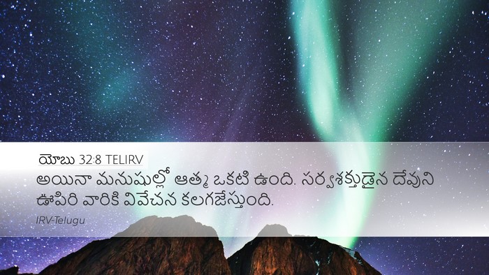 యోబు 32:8 TELIRV Bible Verse Image