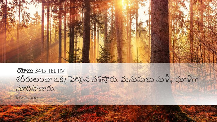 యోబు 34:15 TELIRV Bible Verse Image
