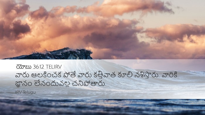 యోబు 36:12 TELIRV Bible Verse Image