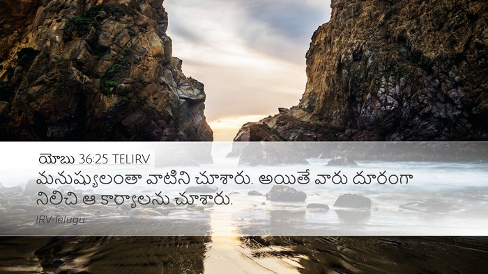 యోబు 36:25 TELIRV Desktop Wallpaper - మనుష్యులంతా - Desktop Bible Verse Wallpaper