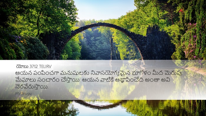 యోబు 37:12 TELIRV Bible Verse Image