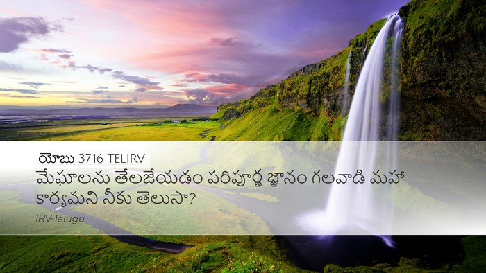 యోబు 37:16 TELIRV Bible Verse Image