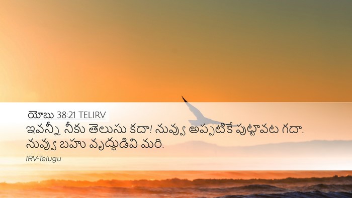 యోబు 38:21 TELIRV Bible Verse Image