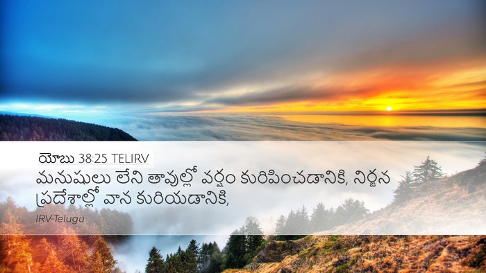 యోబు 38:25 TELIRV Bible Verse Image