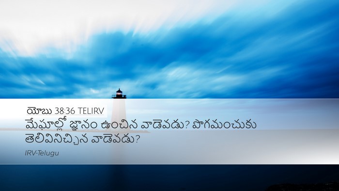 యోబు 38:36 TELIRV Bible Verse Image