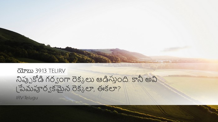 యోబు 39:13 TELIRV Bible Verse Image