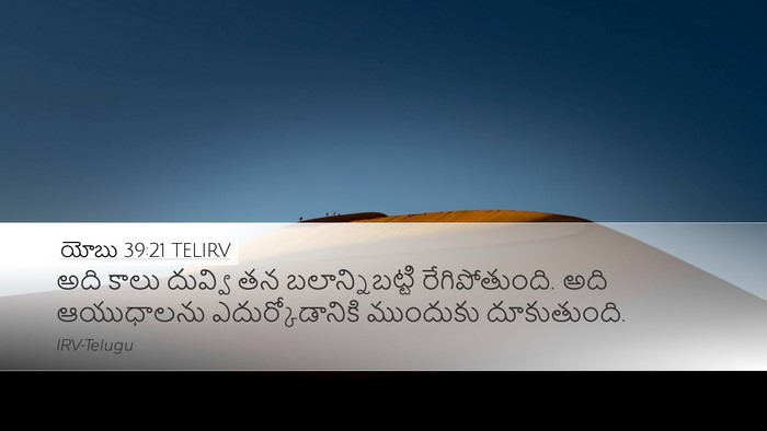 యోబు 39:21 TELIRV Bible Verse Image