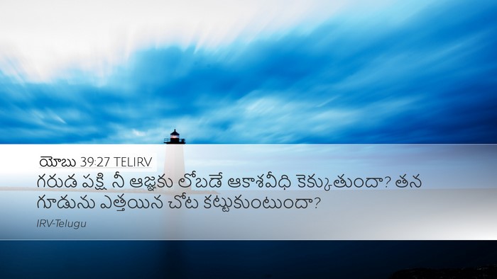 యోబు 39:27 TELIRV Bible Verse Image